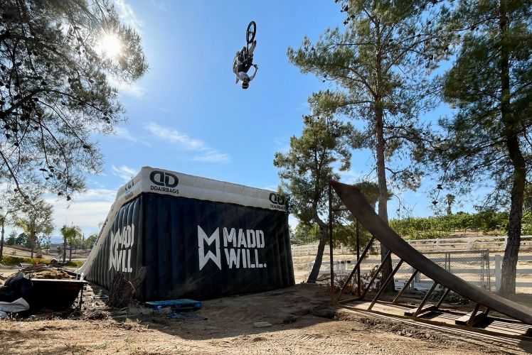 fmx-action-madwill